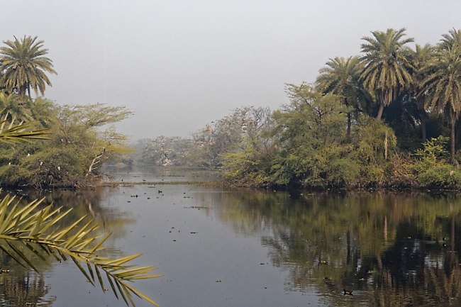 Keoladeo national park-143